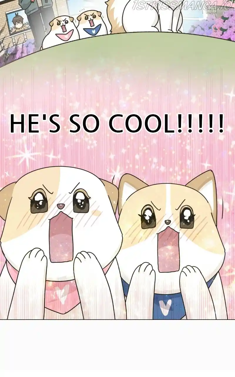 I Gave Birth to a Dog Chapter 76