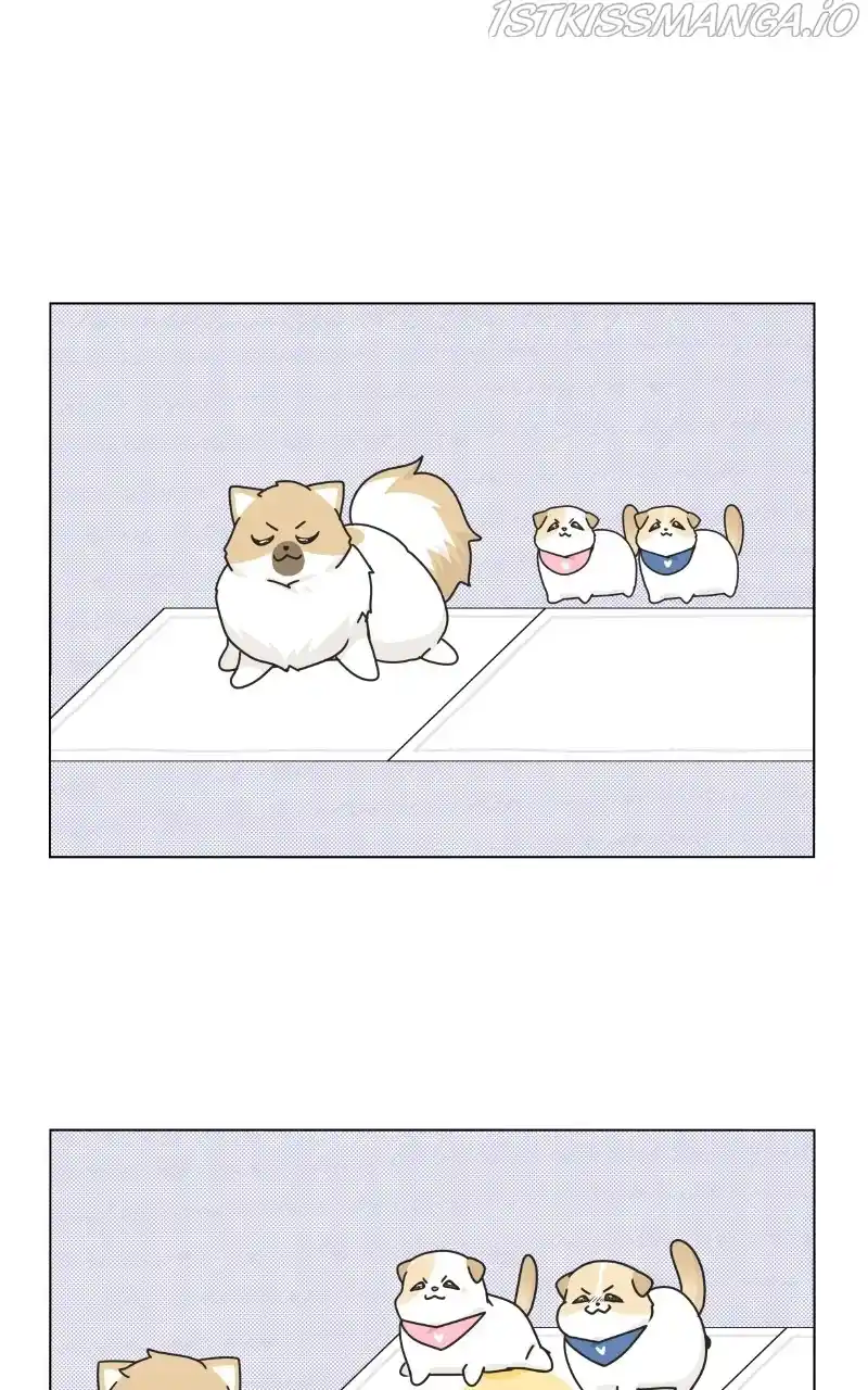 I Gave Birth to a Dog Chapter 76