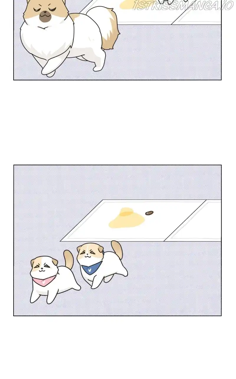 I Gave Birth to a Dog Chapter 76