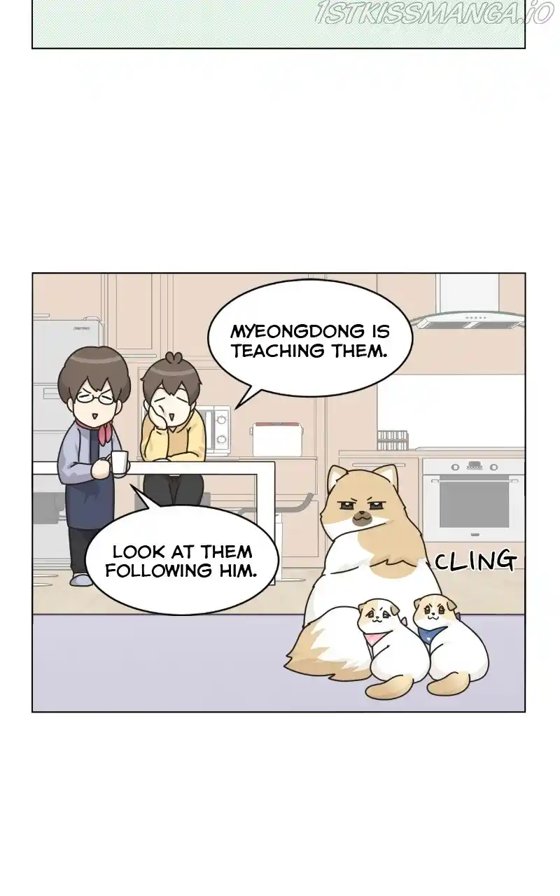 I Gave Birth to a Dog Chapter 76