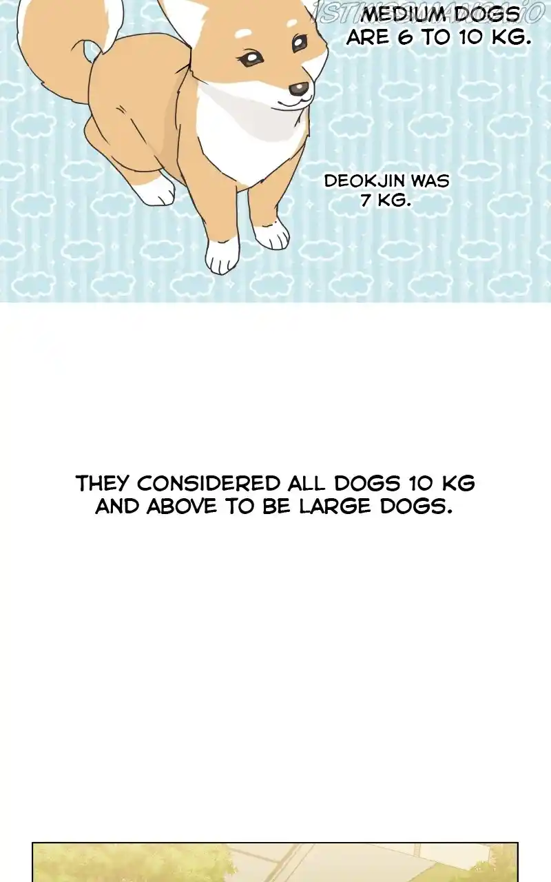 I Gave Birth to a Dog Chapter 77