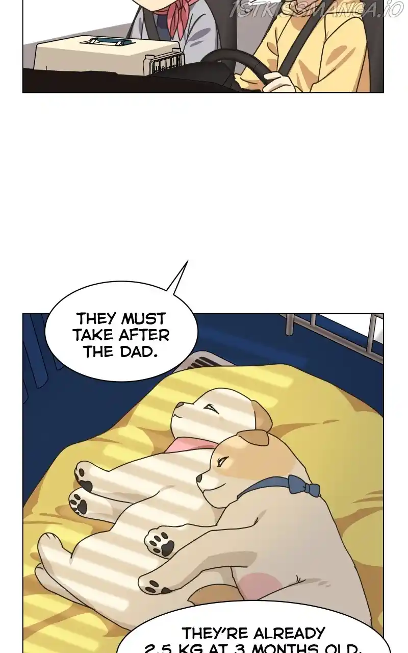 I Gave Birth to a Dog Chapter 77