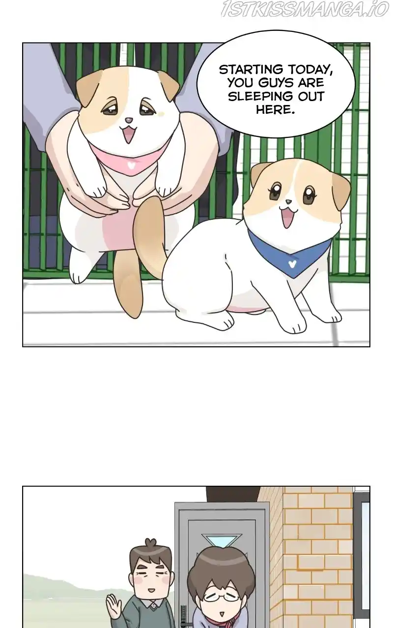 I Gave Birth to a Dog Chapter 77