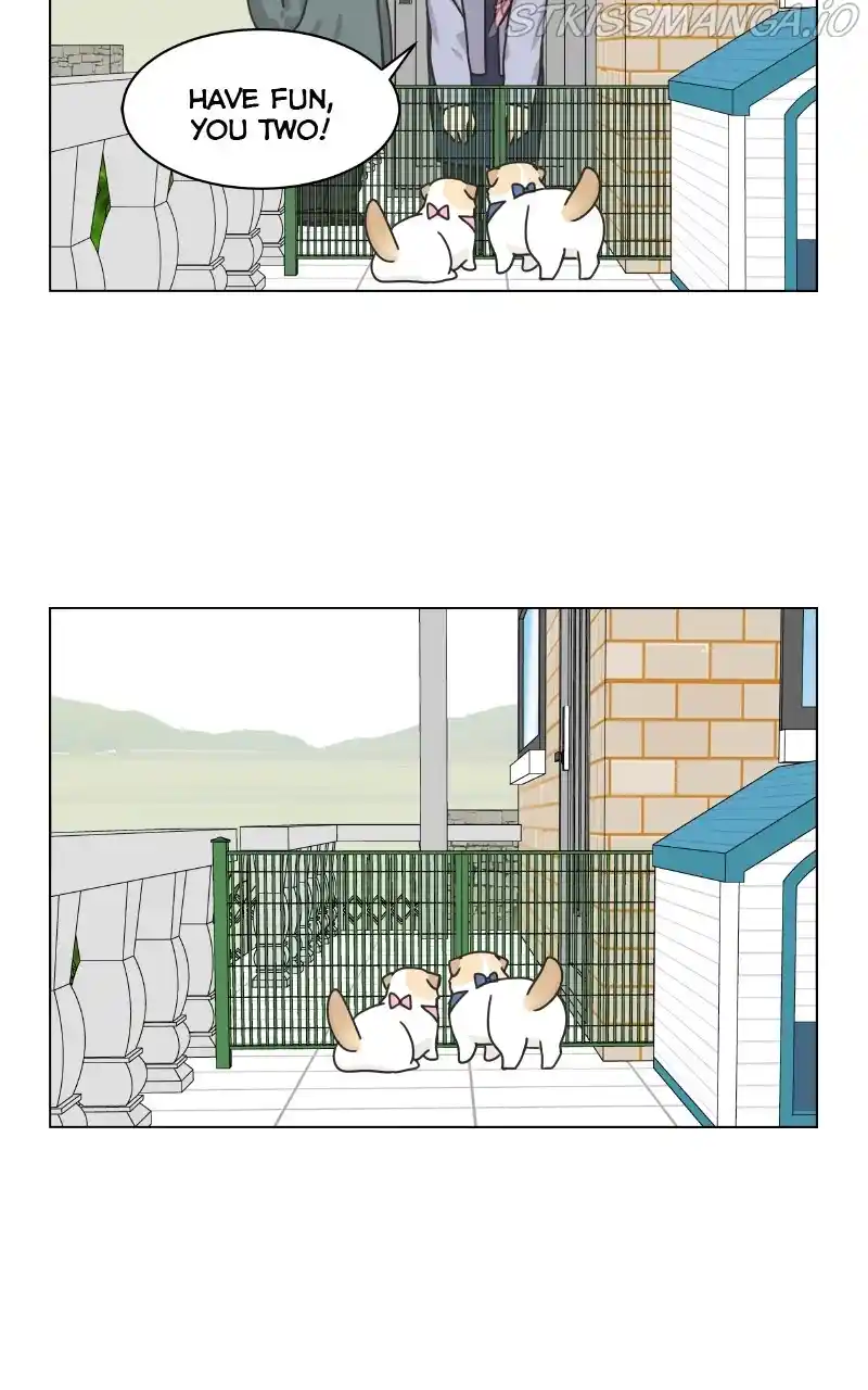 I Gave Birth to a Dog Chapter 77