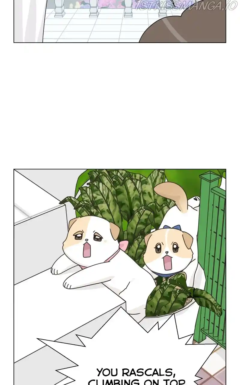 I Gave Birth to a Dog Chapter 77