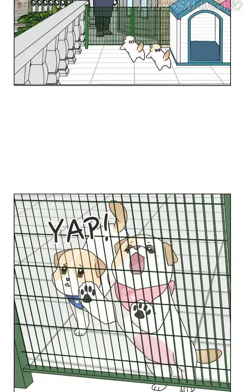 I Gave Birth to a Dog Chapter 77