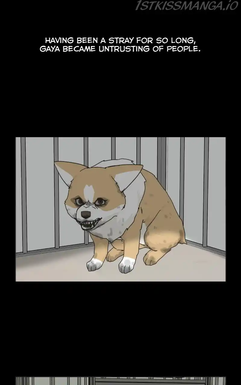 I Gave Birth to a Dog Chapter 78