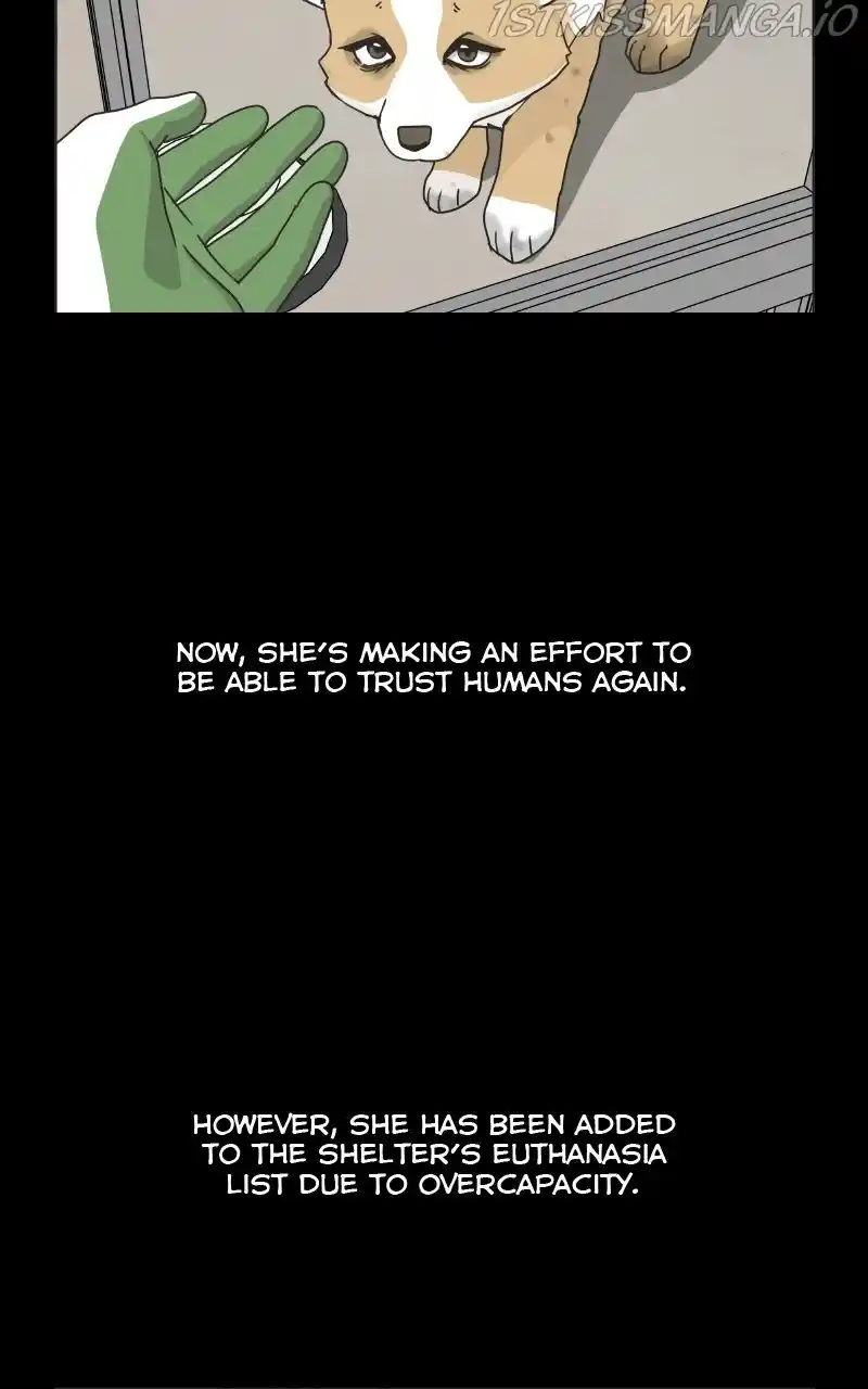 I Gave Birth to a Dog Chapter 78