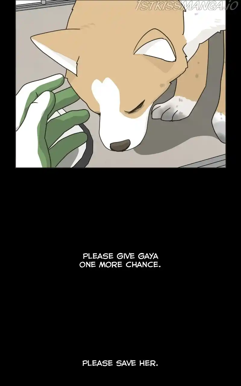 I Gave Birth to a Dog Chapter 78