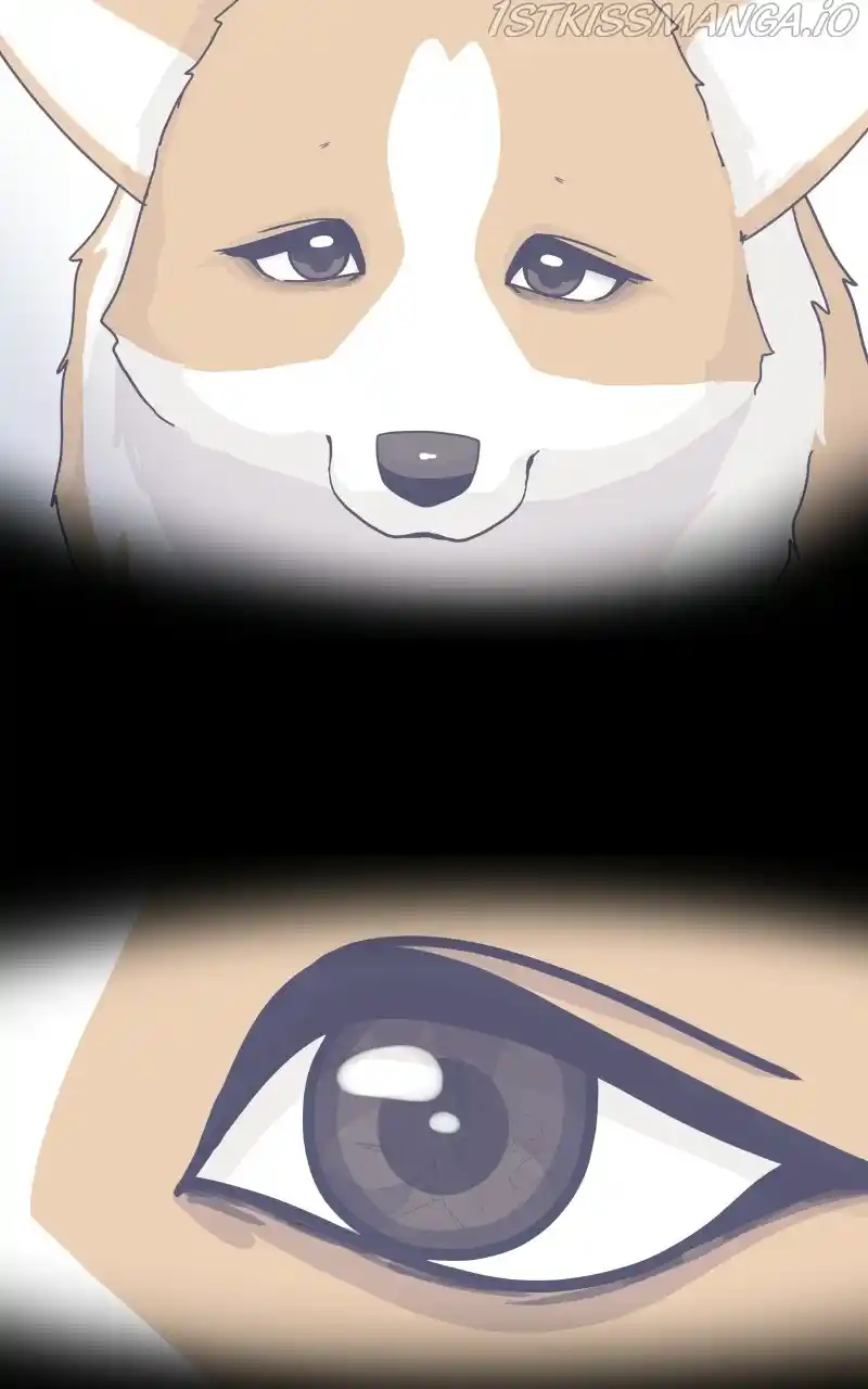 I Gave Birth to a Dog Chapter 78