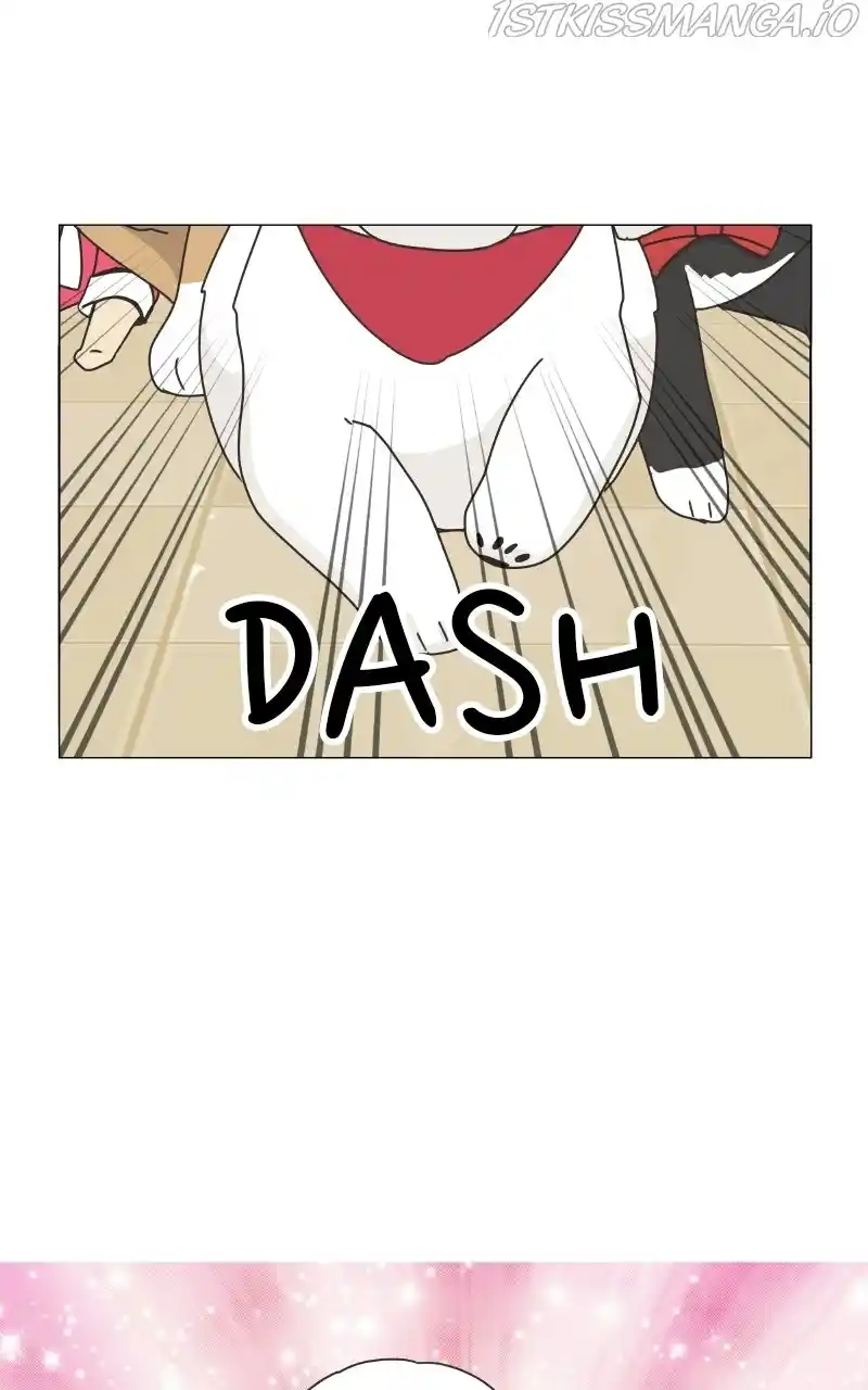 I Gave Birth to a Dog Chapter 78