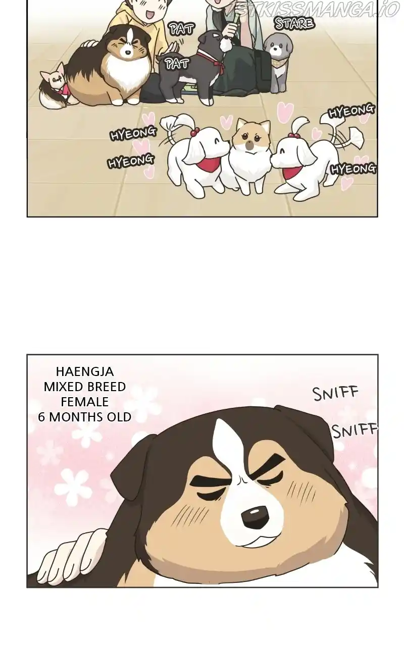 I Gave Birth to a Dog Chapter 78