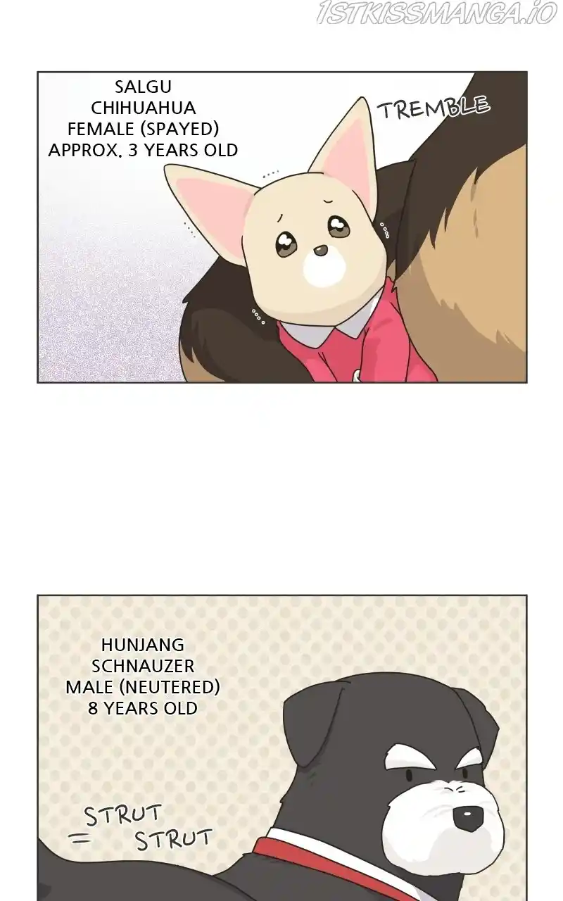 I Gave Birth to a Dog Chapter 78