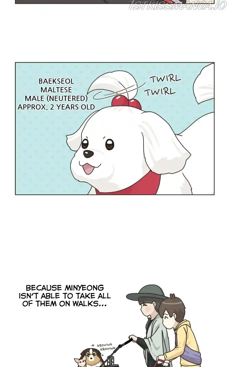 I Gave Birth to a Dog Chapter 78