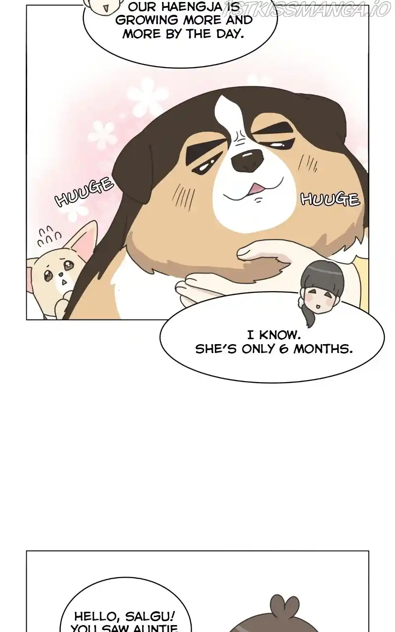 I Gave Birth to a Dog Chapter 78