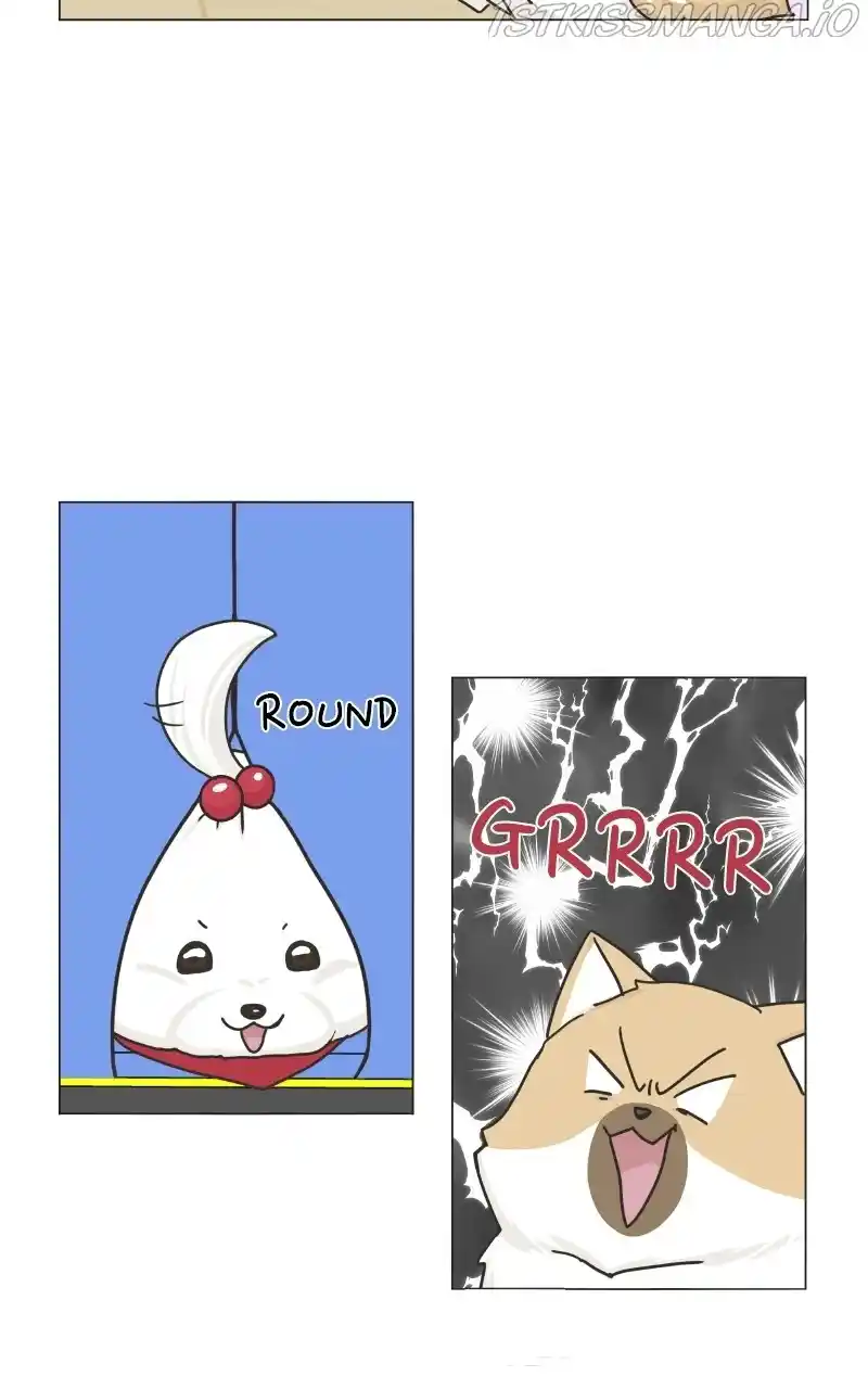 I Gave Birth to a Dog Chapter 78