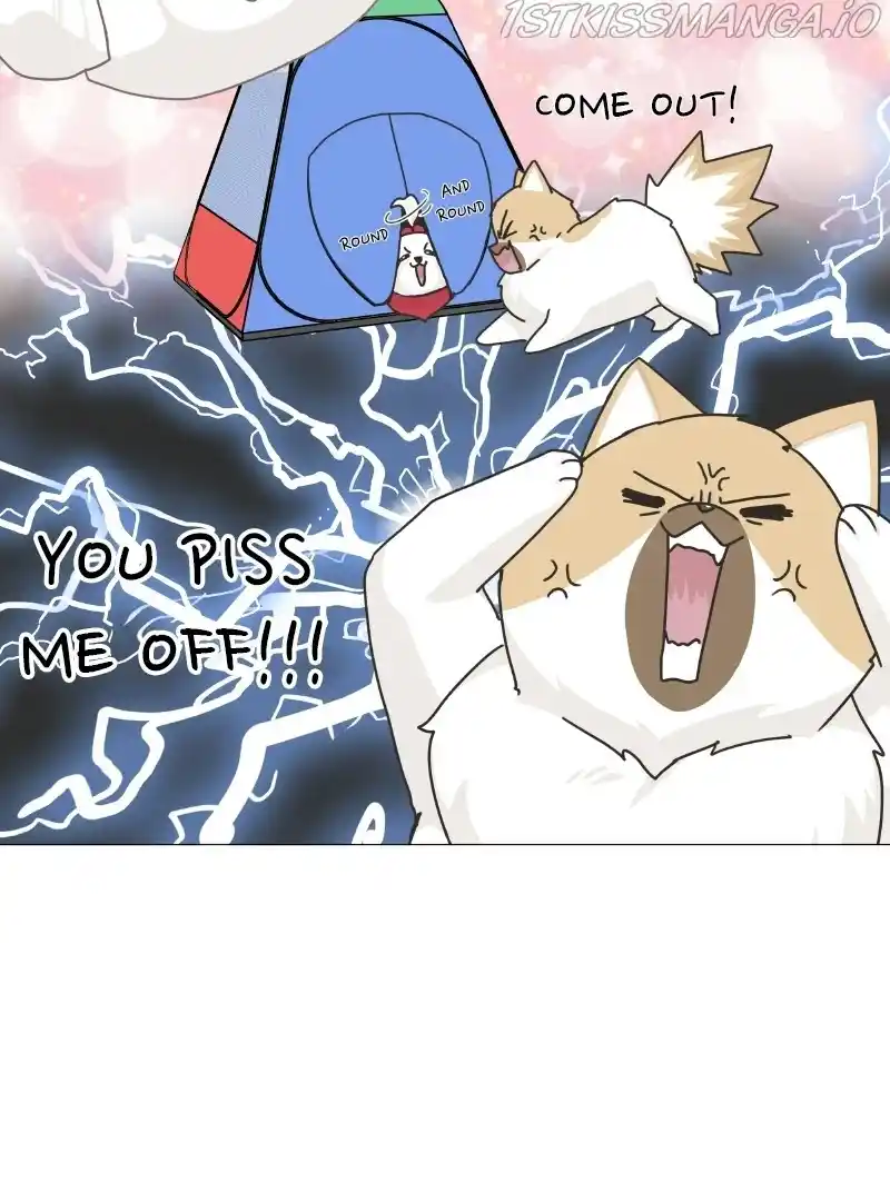 I Gave Birth to a Dog Chapter 78