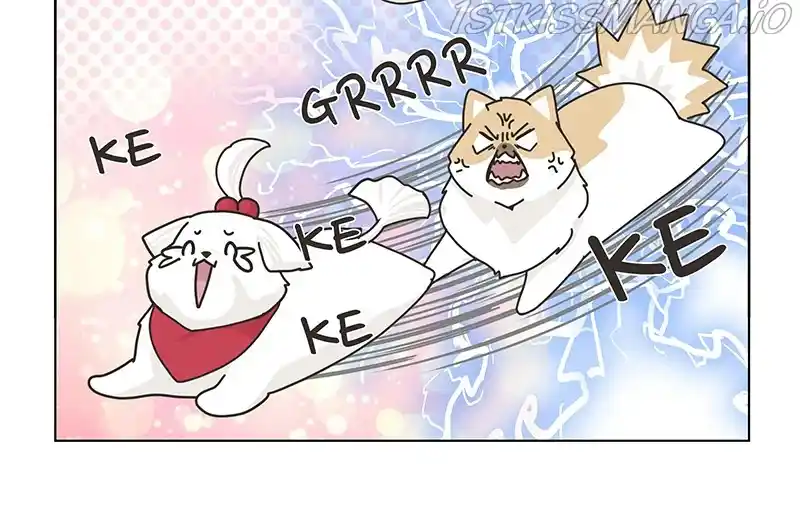 I Gave Birth to a Dog Chapter 78