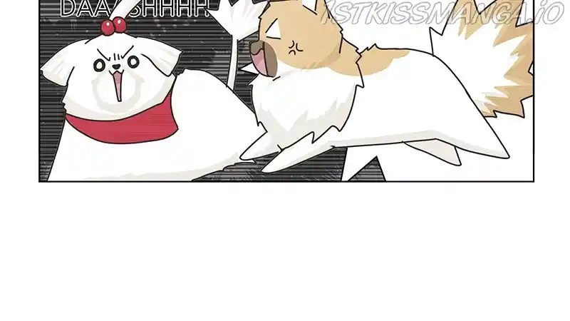 I Gave Birth to a Dog Chapter 78