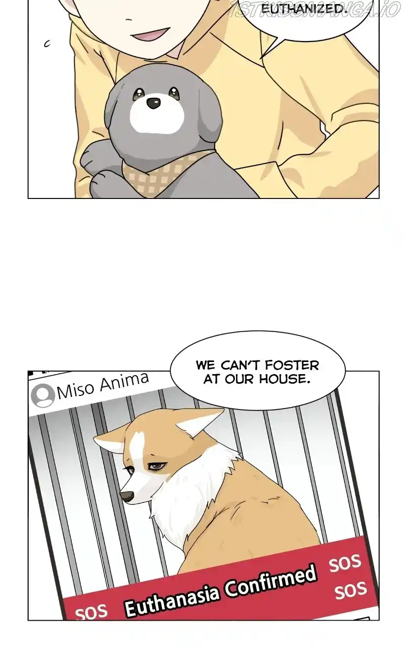 I Gave Birth to a Dog Chapter 78