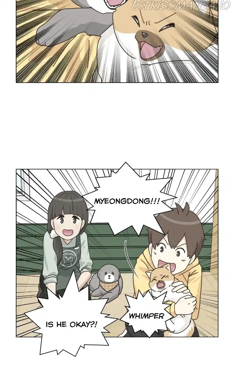 I Gave Birth to a Dog Chapter 78