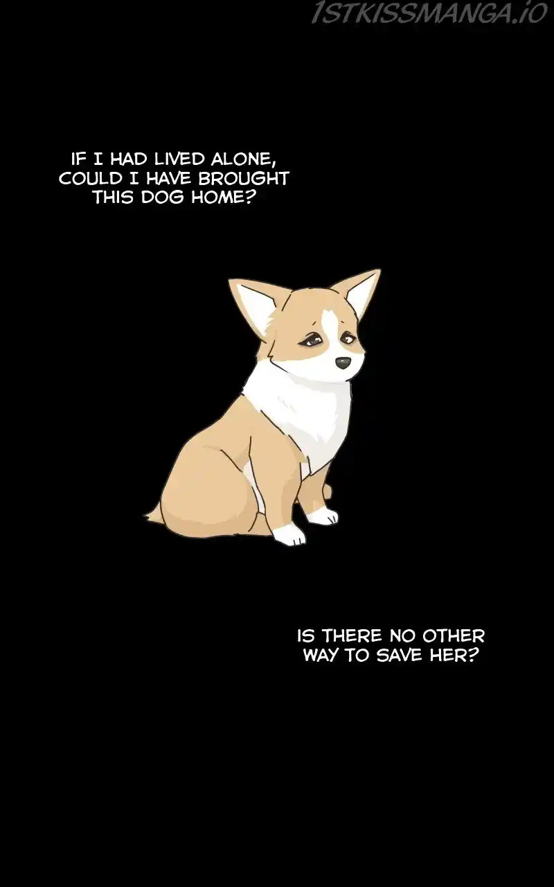 I Gave Birth to a Dog Chapter 78