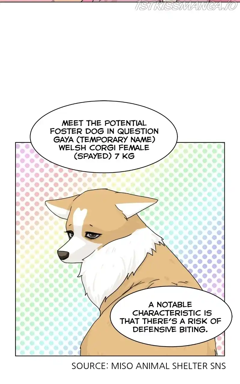 I Gave Birth to a Dog Chapter 79