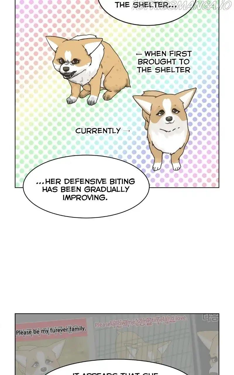 I Gave Birth to a Dog Chapter 79