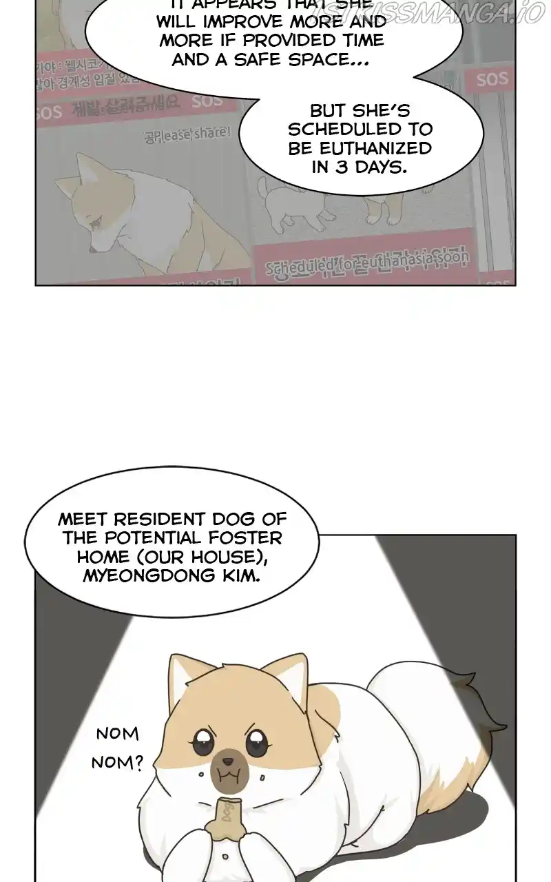 I Gave Birth to a Dog Chapter 79