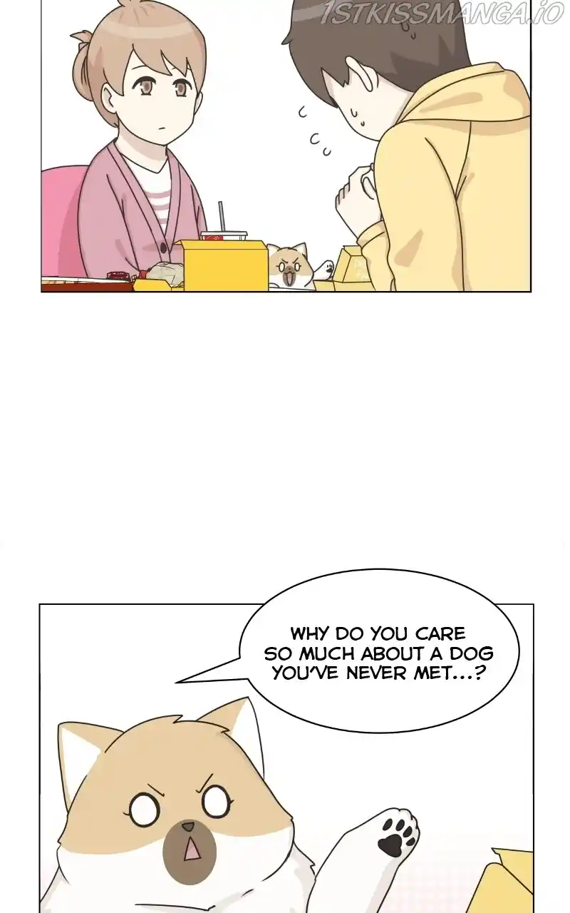 I Gave Birth to a Dog Chapter 79