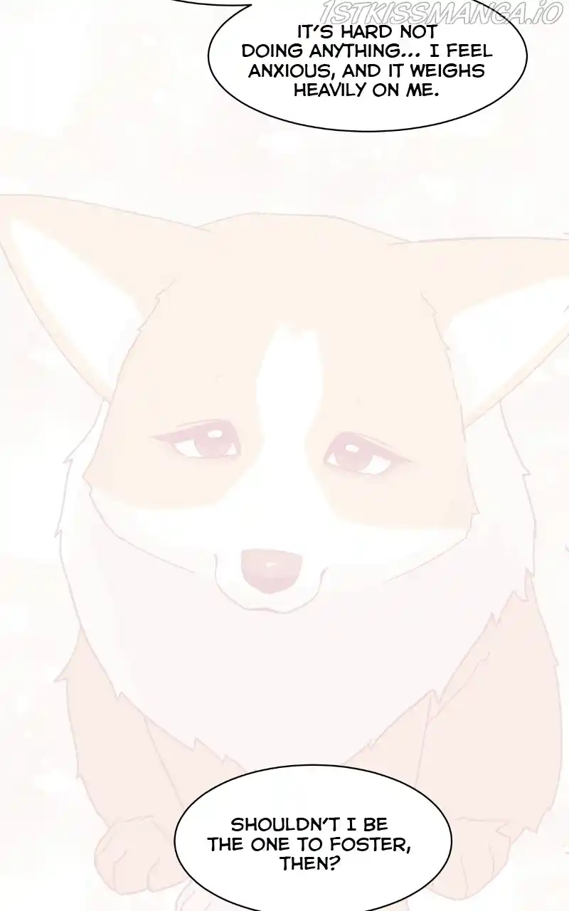 I Gave Birth to a Dog Chapter 79