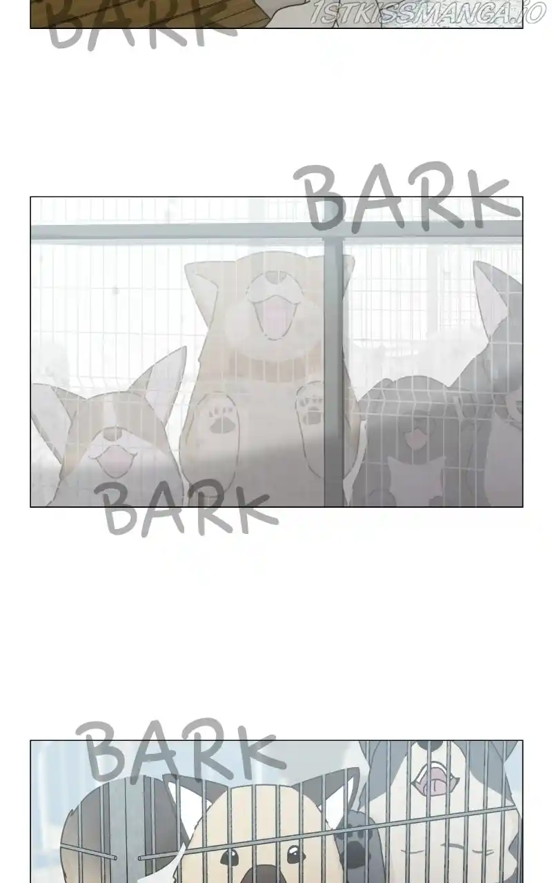 I Gave Birth to a Dog Chapter 79