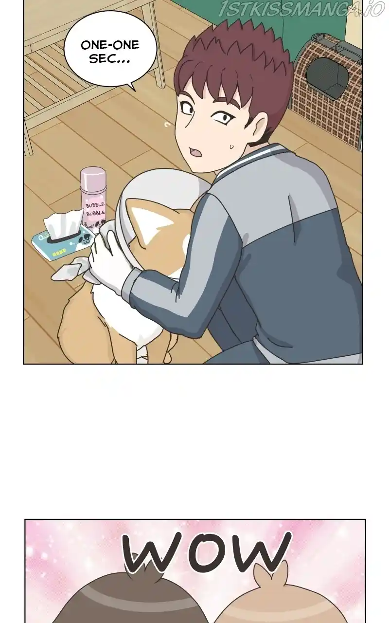 I Gave Birth to a Dog Chapter 79