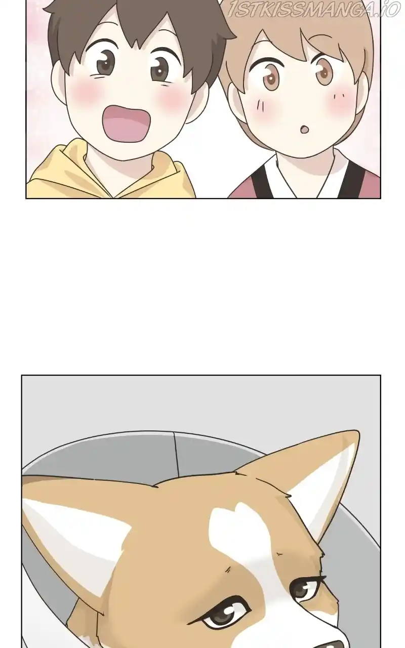 I Gave Birth to a Dog Chapter 79