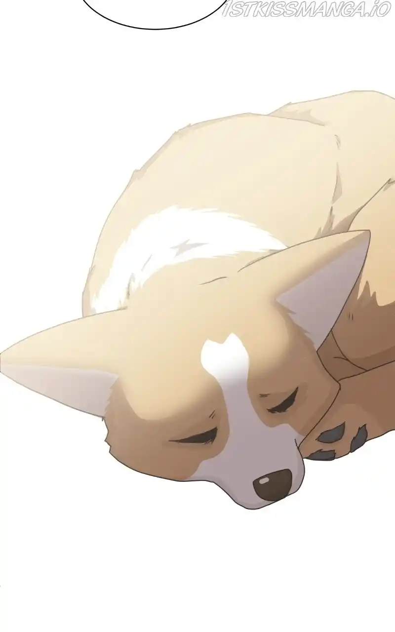 I Gave Birth to a Dog Chapter 80