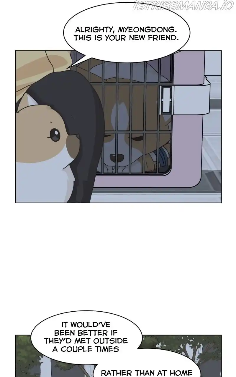 I Gave Birth to a Dog Chapter 81
