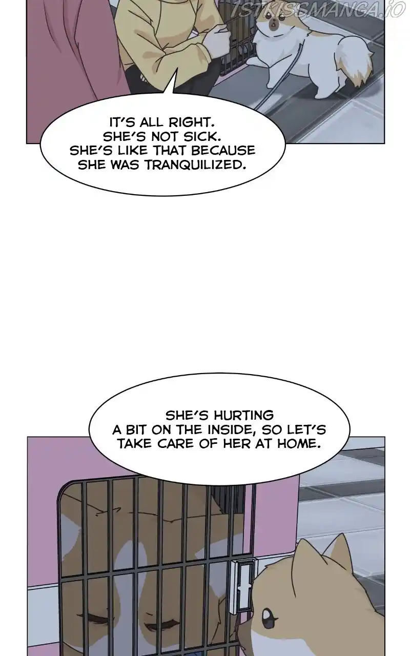 I Gave Birth to a Dog Chapter 81