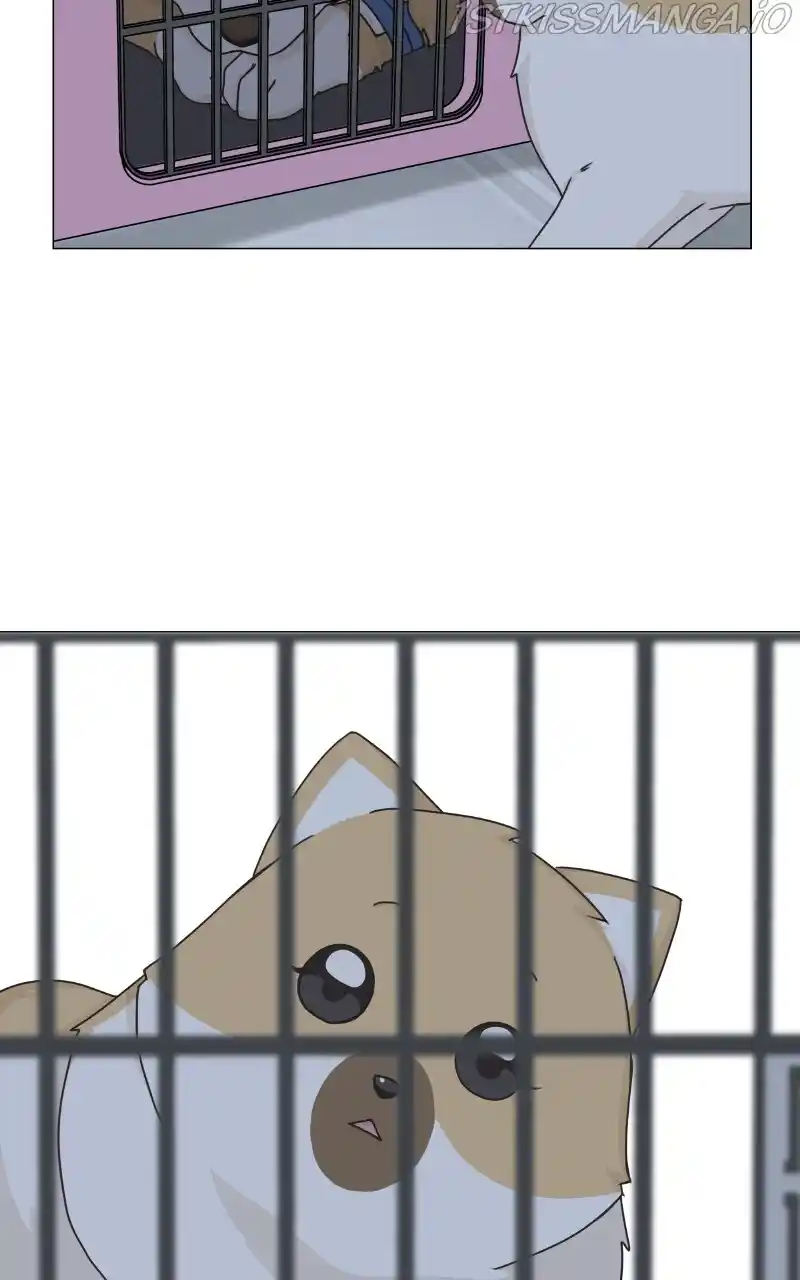 I Gave Birth to a Dog Chapter 81