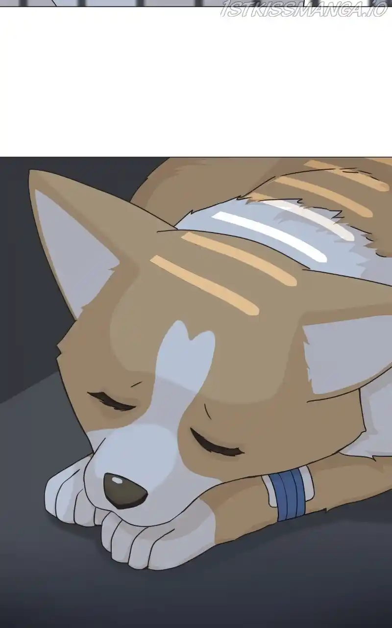 I Gave Birth to a Dog Chapter 81