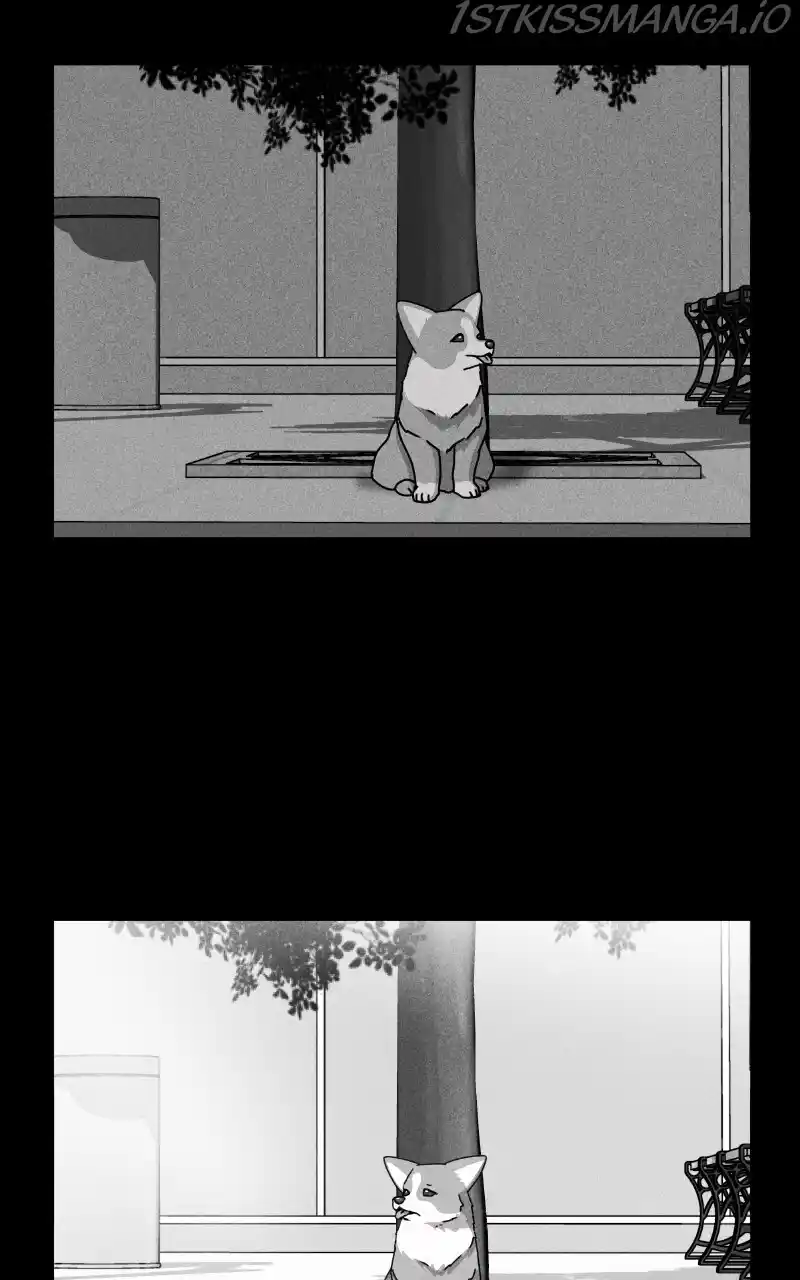 I Gave Birth to a Dog Chapter 81