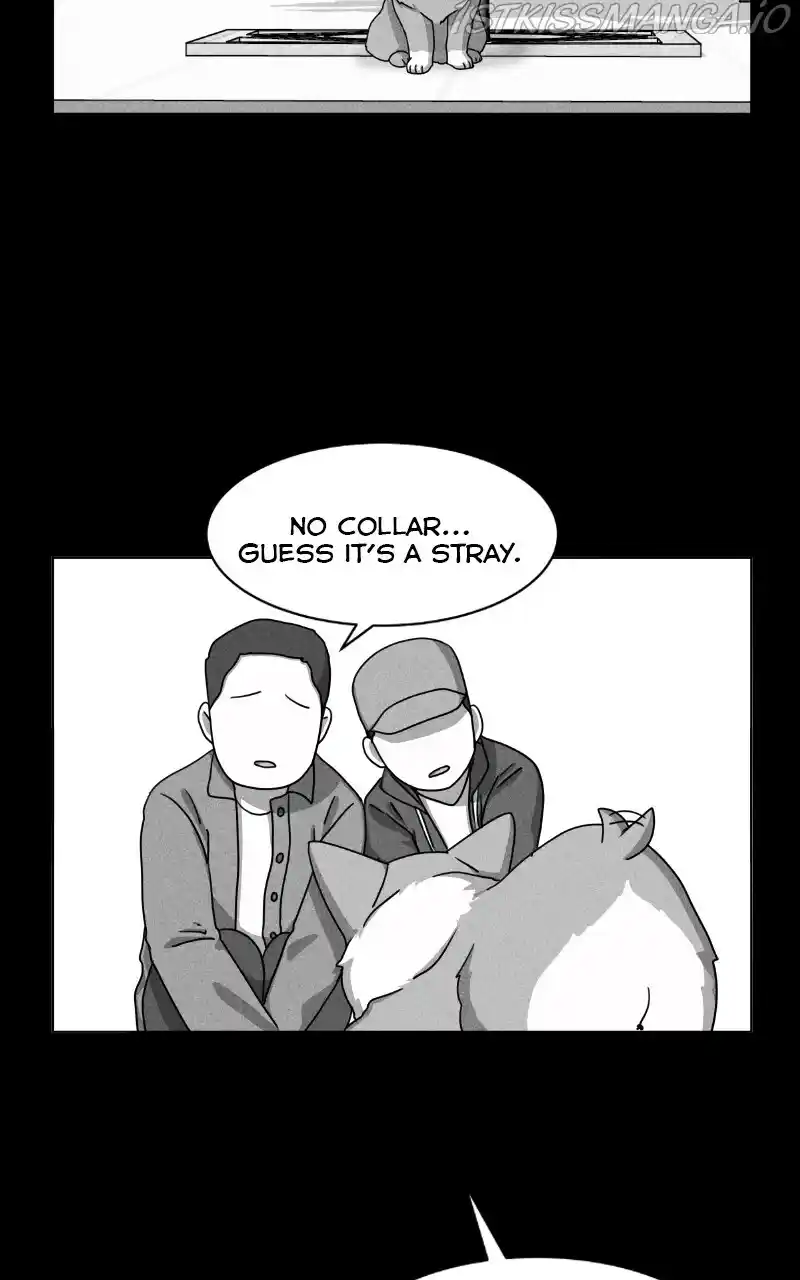 I Gave Birth to a Dog Chapter 81