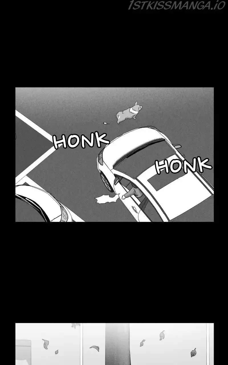 I Gave Birth to a Dog Chapter 81