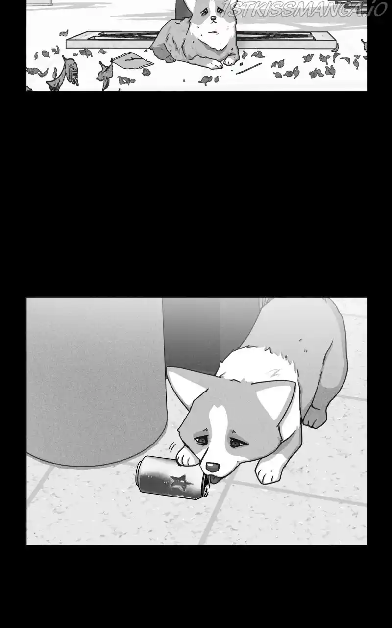 I Gave Birth to a Dog Chapter 81