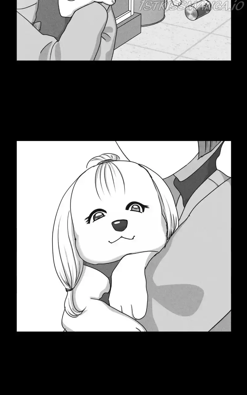 I Gave Birth to a Dog Chapter 81
