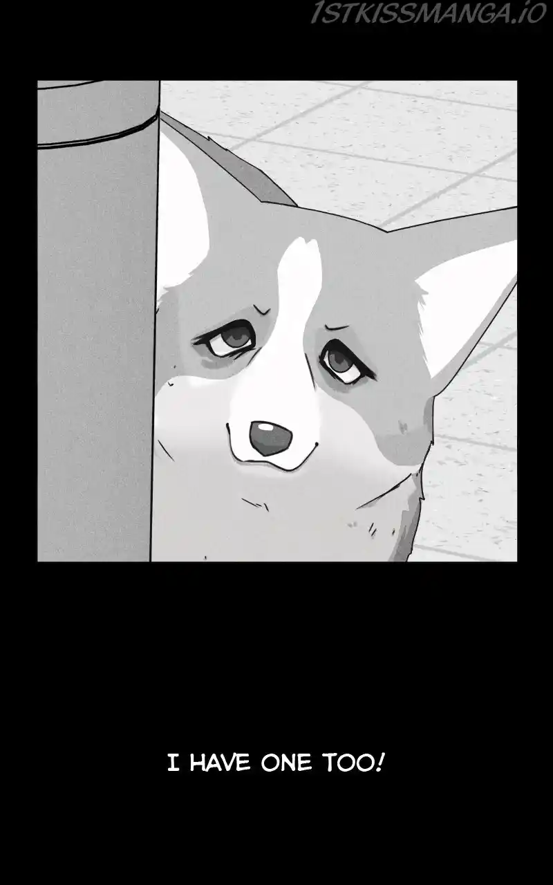 I Gave Birth to a Dog Chapter 81