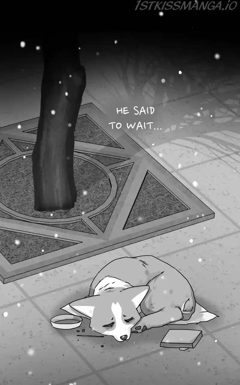 I Gave Birth to a Dog Chapter 81