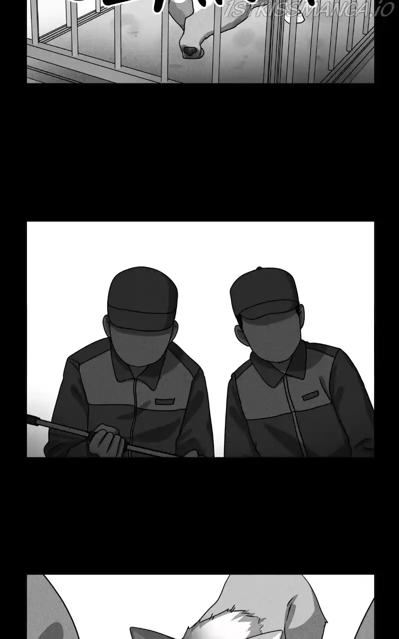 I Gave Birth to a Dog Chapter 81