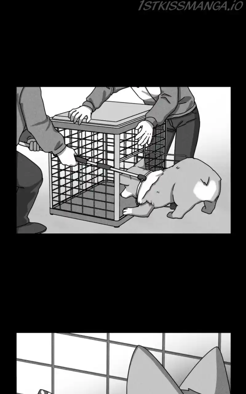 I Gave Birth to a Dog Chapter 81