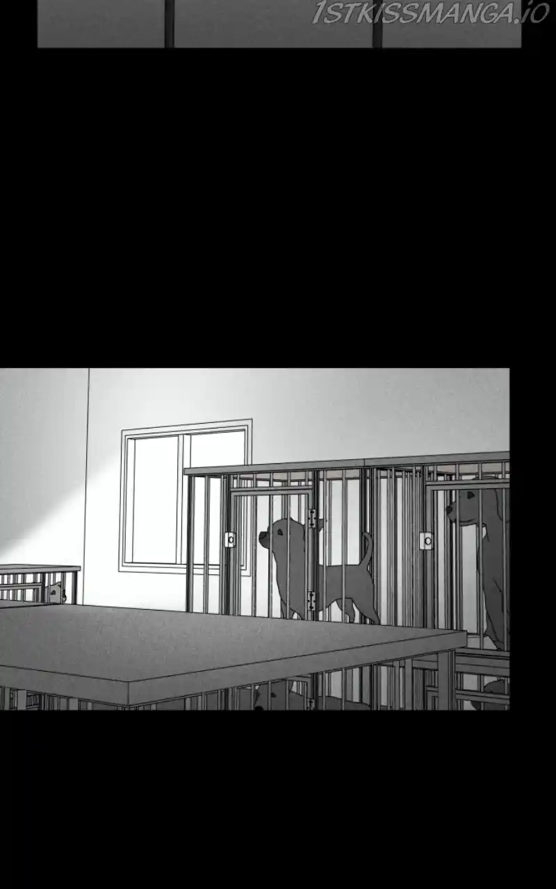 I Gave Birth to a Dog Chapter 81