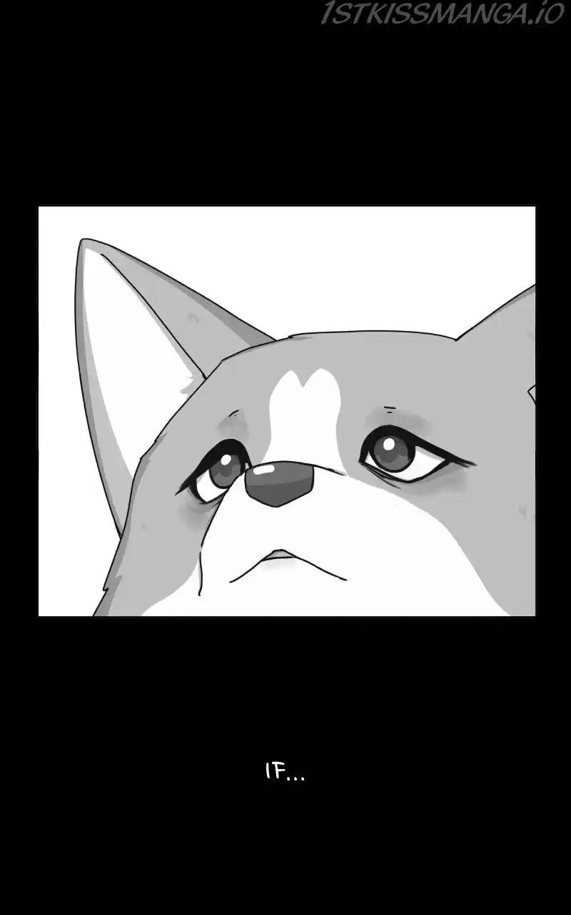 I Gave Birth to a Dog Chapter 81